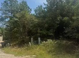 283 Green Apple Trail TRL, Broken Bow, OK 74728