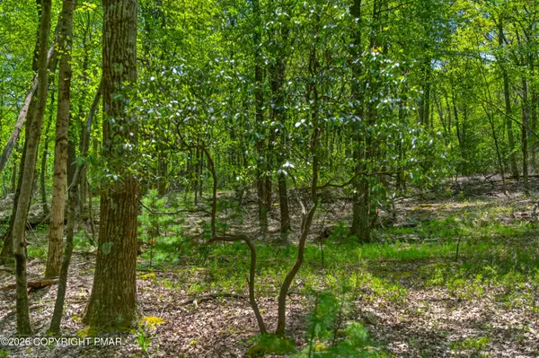 S Lake DR, Lake Harmony, PA 18624