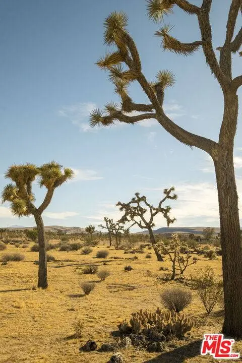 978 Hilton Ave, Yucca Valley, CA 92284