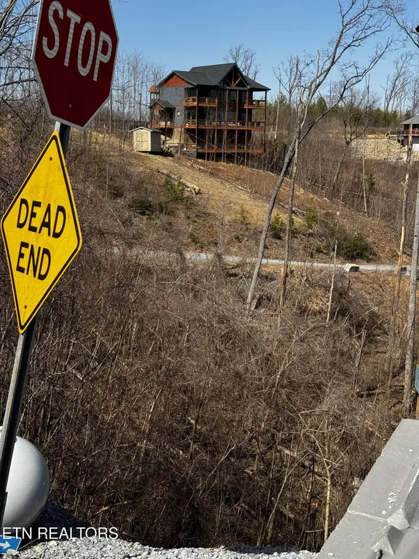 Chestnut DR, Gatlinburg, TN 37738