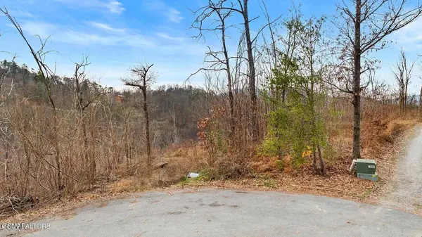 7R Lone Ridge RD, Sevierville, TN 37876