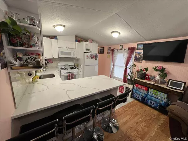 2 Mazies LN #3, New Windsor, NY 12553