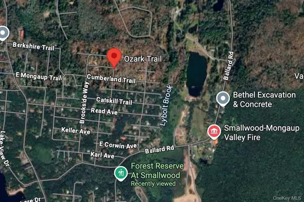 Ozark TRL, Bethel, NY 12720