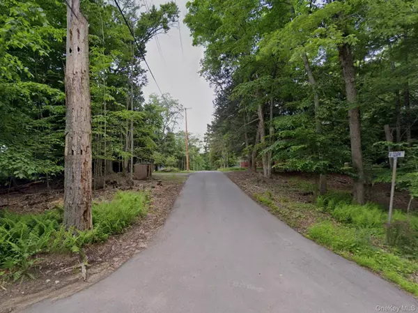 Ozark TRL, Bethel, NY 12720