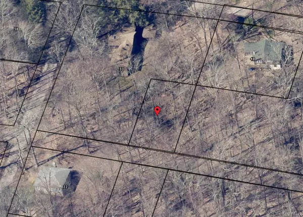 Ozark TRL, Bethel, NY 12720