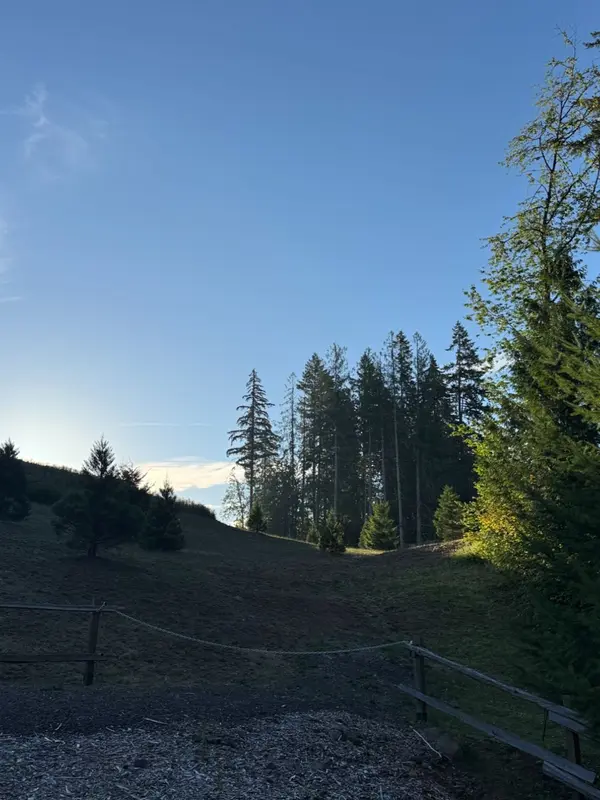 Is Clackamas County, Oregon a Good Place to Live? Pros and Cons of Living Here (2026 Guide)