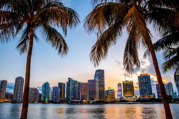 larry-hering-south-florida