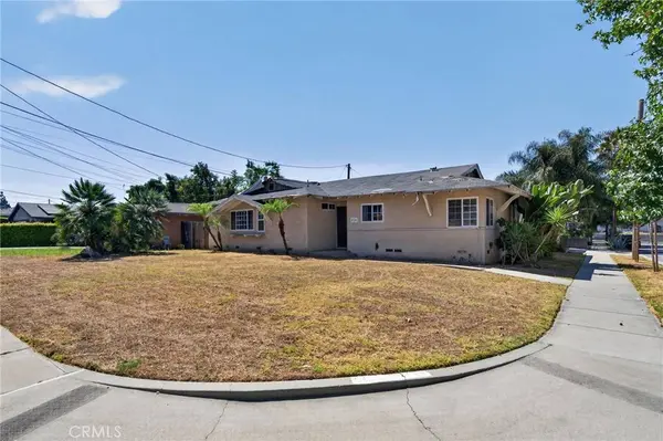 206 E Fig