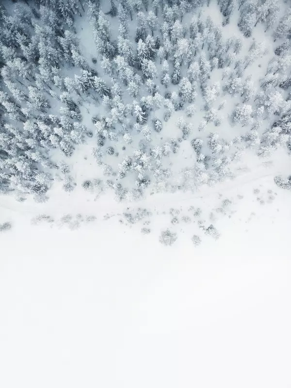 Preparing for Winter at Bear Lake 