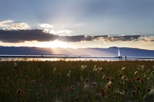 Bear Lake Mornings