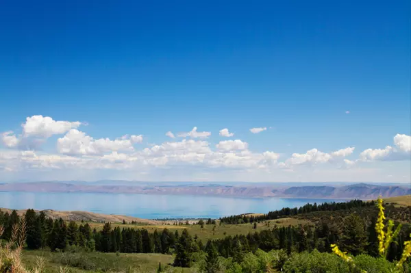 How to Shop for a Vacation Home During a Busy Season