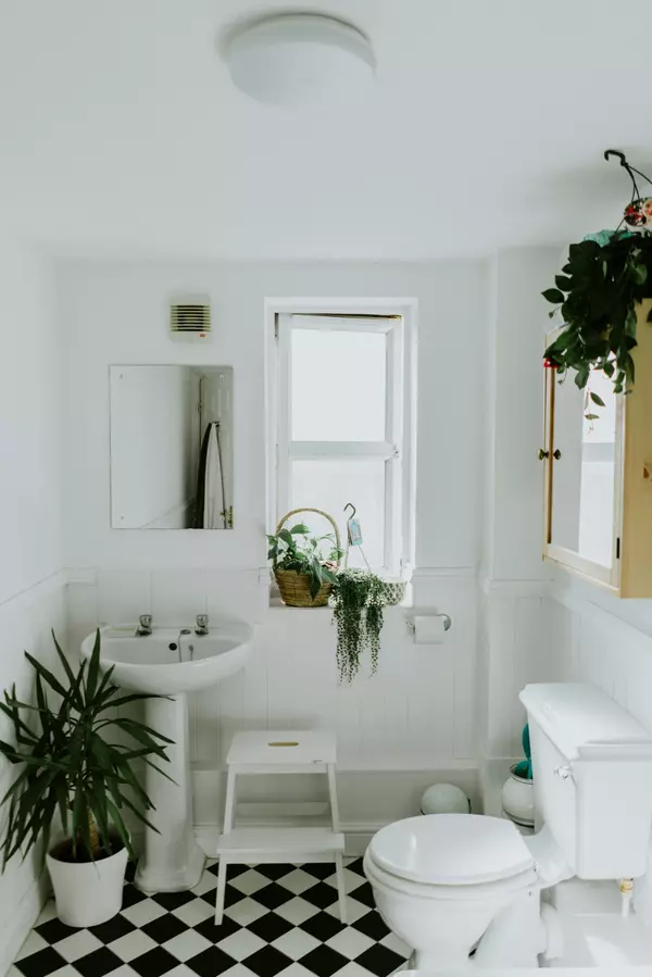 Sewer vs. Septic (What you really need to know)