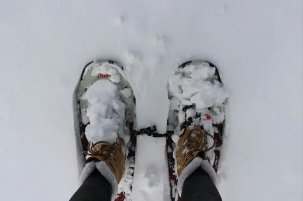 The Ultimate Winter Trail Guide