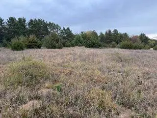xxx Meadowvale RD, Elk River, MN 55330