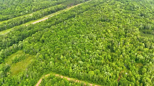 TBD Taylor Birch Rd, Sandstone, MN 55037
