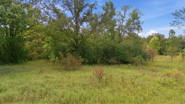 TBD 130th AVE, Milaca, MN 56363