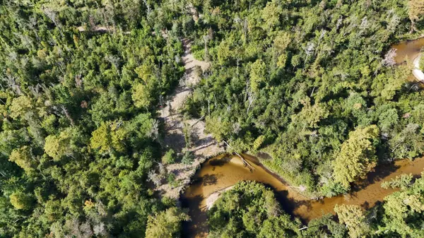 5593 Porter Pond RD, See Remarks, FL 00N/A