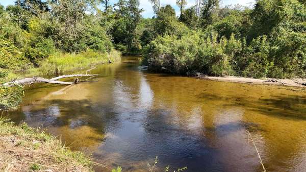5593 Porter Pond RD, Other, FL 00N/A