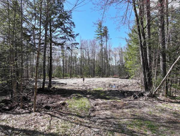 Lot 60-004 Merriman DR, Bethel, ME 04217