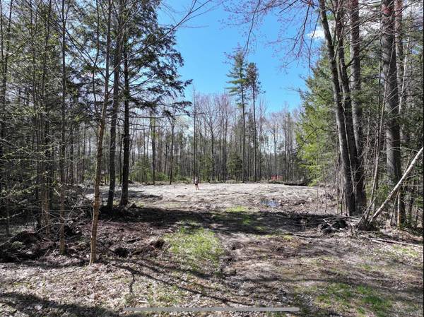 Lot 60-004 Merriman DR, Bethel, ME 04217