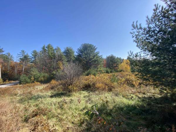 Lot 8 Moose LN, Bethel, ME 04217