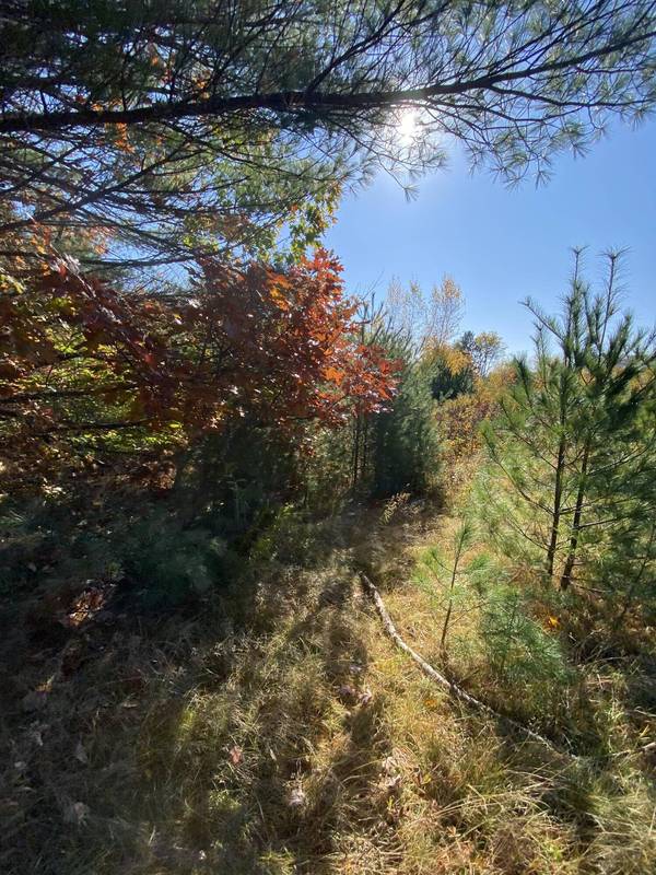 Lot 8 Moose LN, Bethel, ME 04217