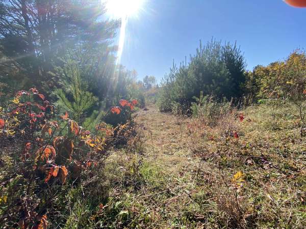 Lot 8 Moose LN, Bethel, ME 04217