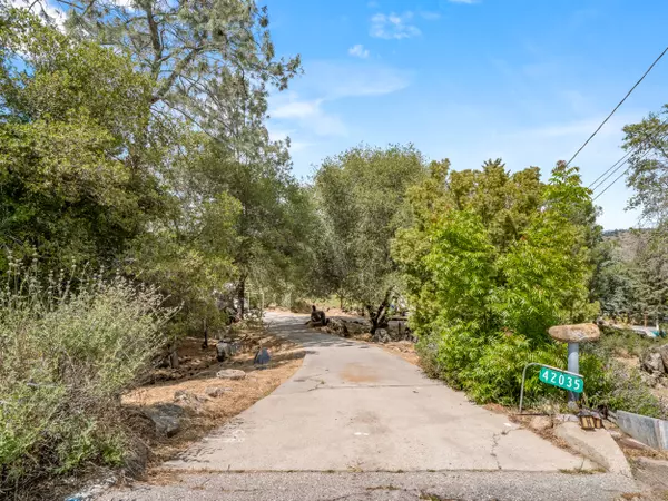 Coarsegold, CA 93614-9651,42035 Wild Horse Way