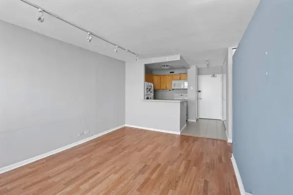 1360 N Sandburg Terrace #2704C, Chicago, IL 60610