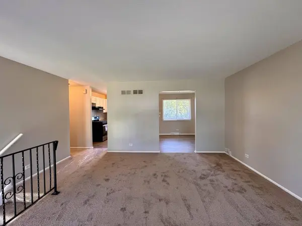 313 N Park Drive, Glenwood, IL 60425