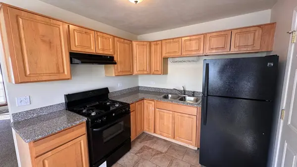 231 E Tulip Drive, Glenwood, IL 60425