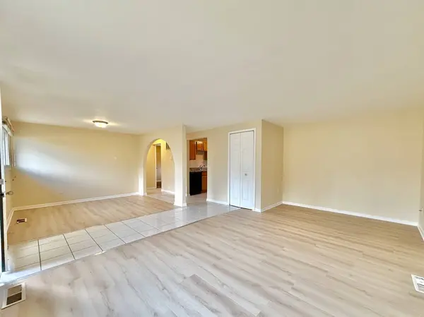 163 W RAYE Drive, Chicago Heights, IL 60411