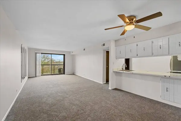 820 Elder Road #C411, Homewood, IL 60430