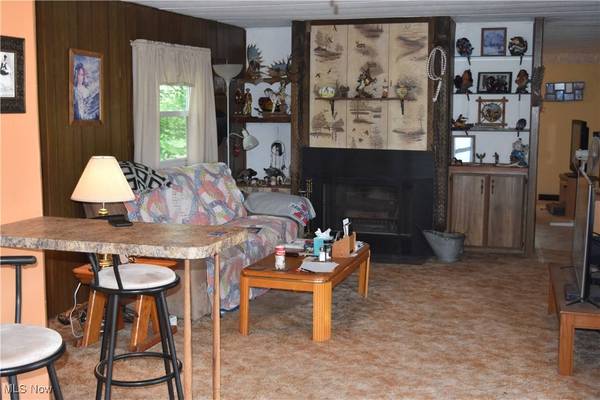 73539 Colerain Mt. Pleasant RD, Dillonvale, OH 43912