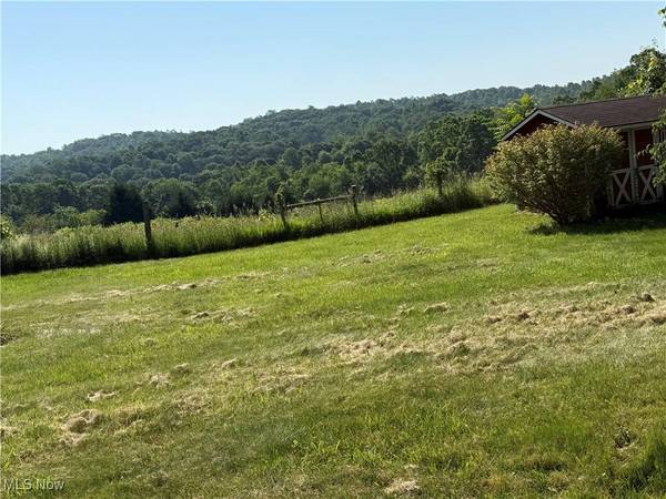 78551 Hamilton Ridge RD, Freeport, OH 43973