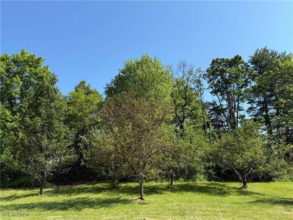 78551 Hamilton Ridge RD, Freeport, OH 43973