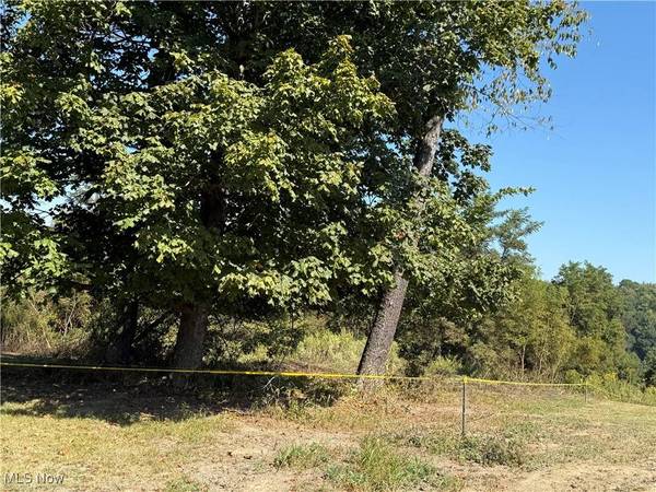 0 Riverview DR, Rayland, OH 43943