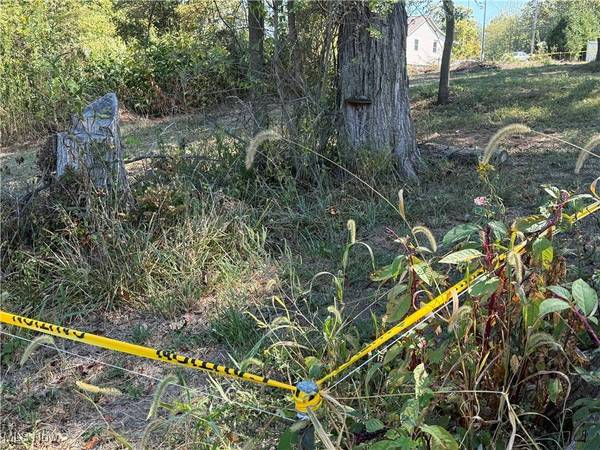 0 2nd ST, Rayland, OH 43943