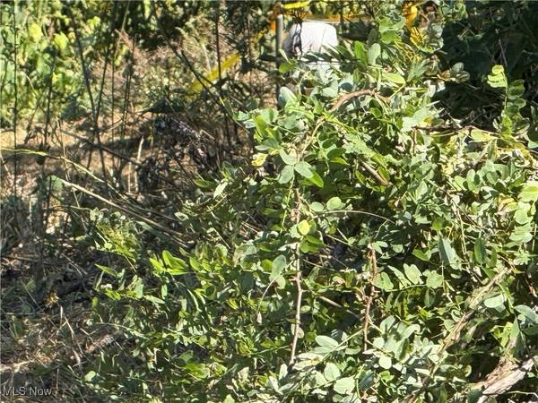 0 2nd ST, Rayland, OH 43943