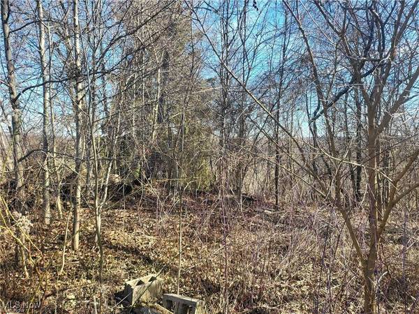 51737 Key Bellaire RD, Bellaire, OH 43906