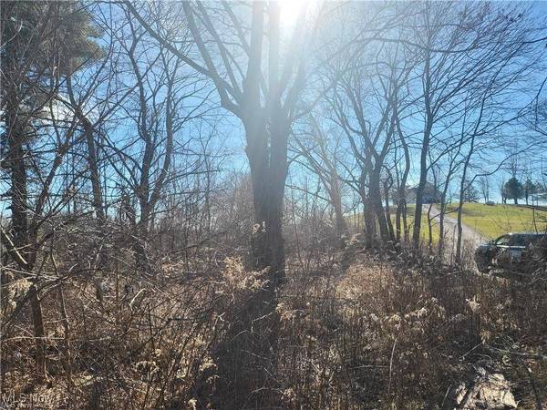 51737 Key Bellaire RD, Bellaire, OH 43906