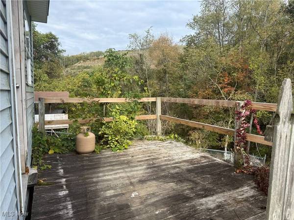 253 Hallock AVE, Mingo Junction, OH 43938