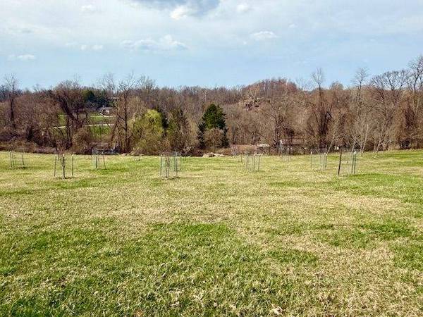 TBD Washington Pike, Wellsburg, WV 26070