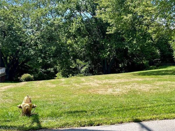 0 Fernwood RD, Wintersville, OH 43953