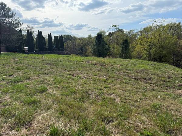 Cara PL, Wintersville, OH 43952