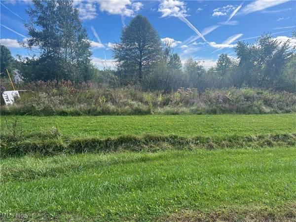 Terra Bella DR, Youngstown, OH 44505