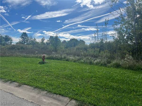 Terra Bella DR, Youngstown, OH 44505