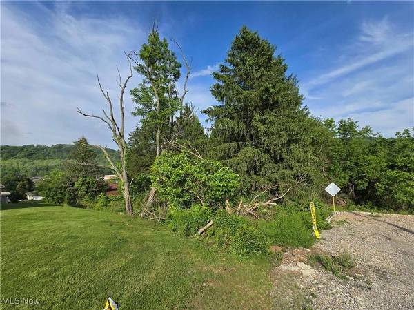 55560 Poplar AVE, Bridgeport, OH 43912