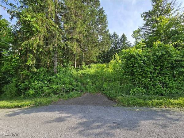 55560 Poplar AVE, Bridgeport, OH 43912