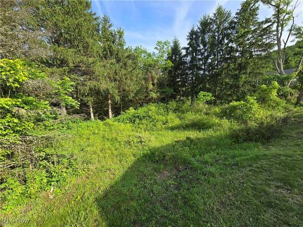 55560 Poplar AVE, Bridgeport, OH 43912